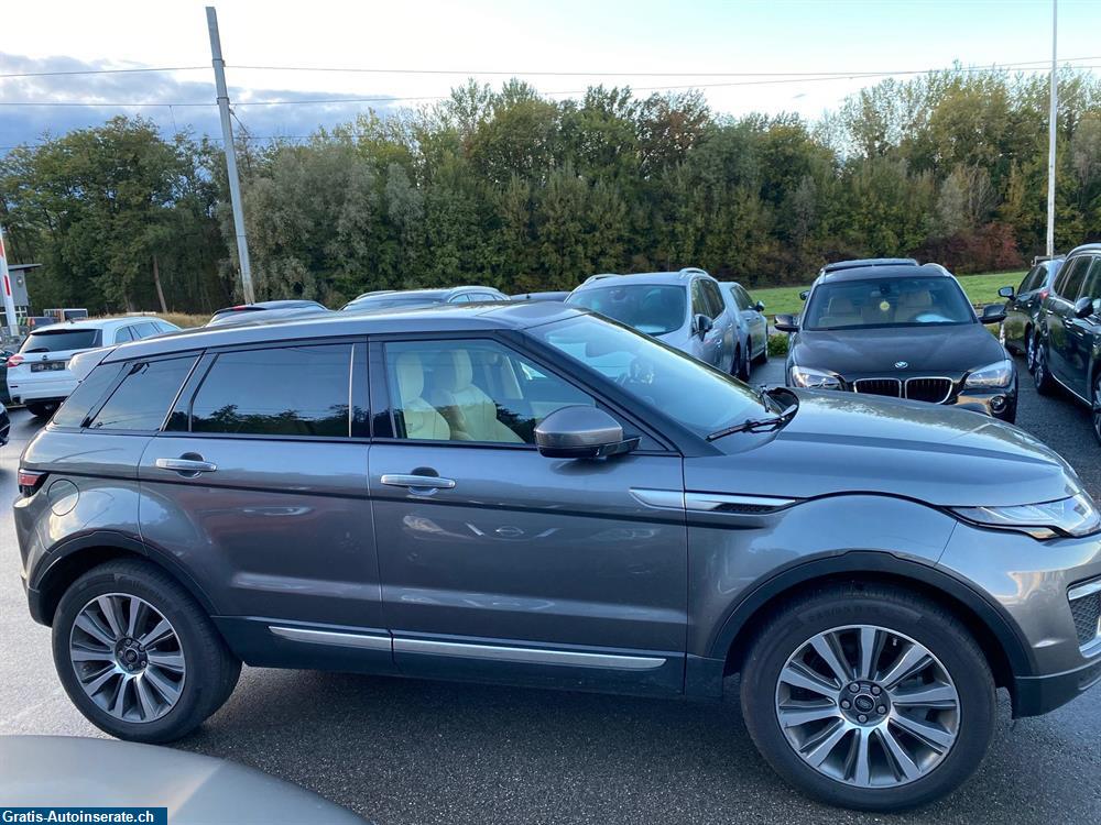 Occasion Rover Range Rover Geländewagen