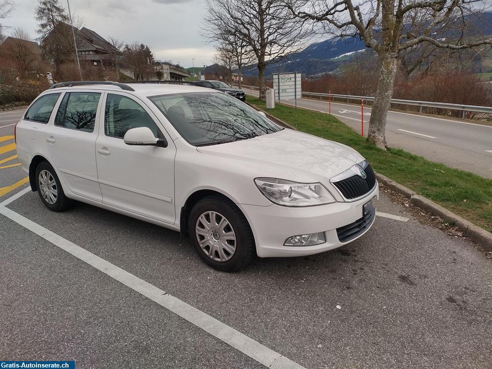 Occasion Skoda Octavia 1.6 Diesel Kombi