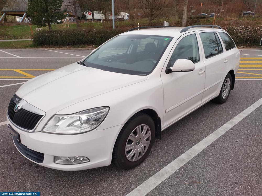 Bild 3: Occasion Skoda Octavia 1.6 Diesel Kombi