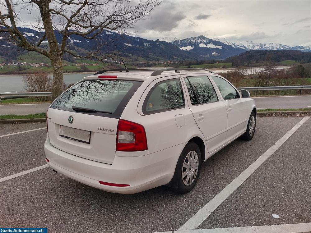 Bild 4: Occasion Skoda Octavia 1.6 Diesel Kombi