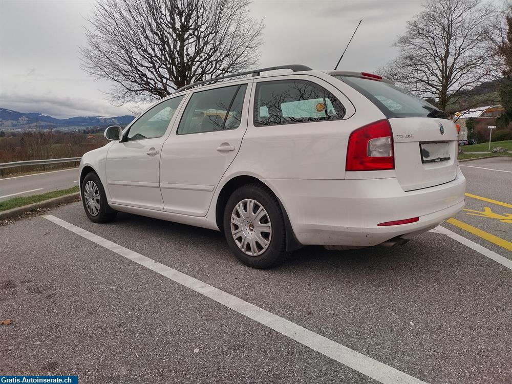 Bild 5: Occasion Skoda Octavia 1.6 Diesel Kombi