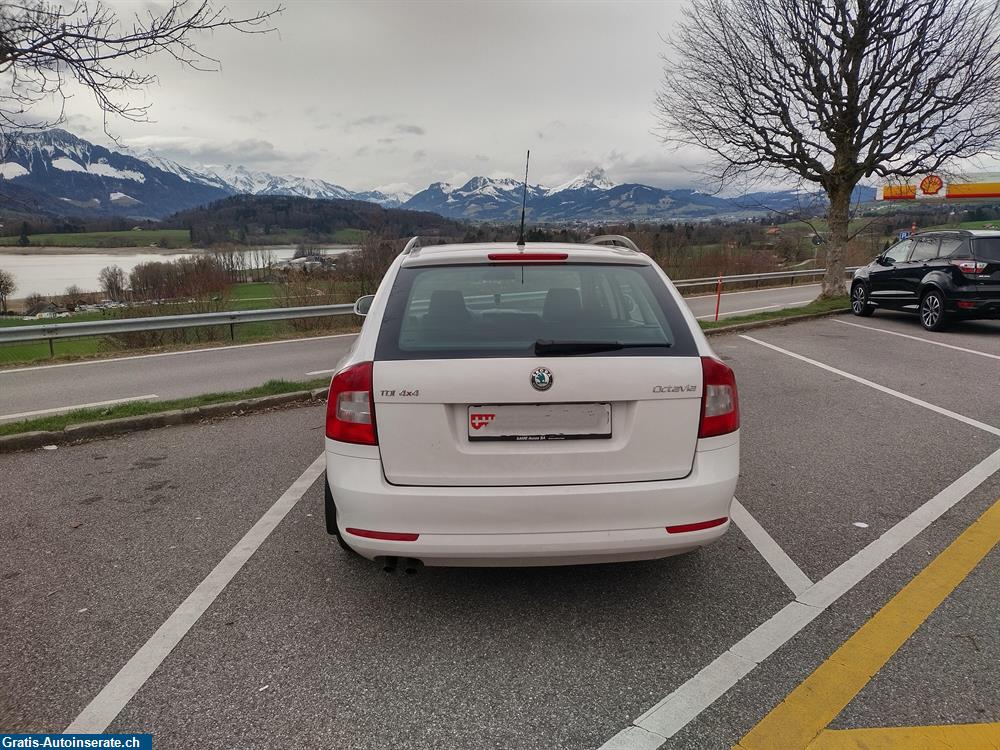 Bild 6: Occasion Skoda Octavia 1.6 Diesel Kombi