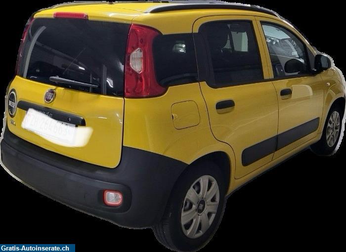 Bild 2: Occasion Fiat Panda Allrad Van