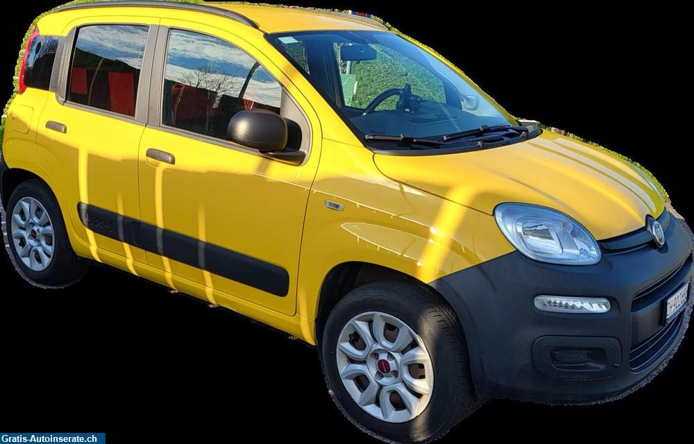 Bild 3: Occasion Fiat Panda Allrad Van